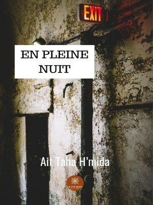 cover image of En pleine nuit